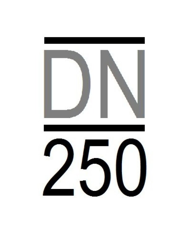 dn250.4