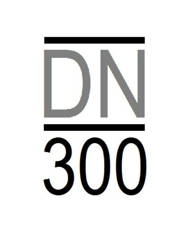 dn300.4