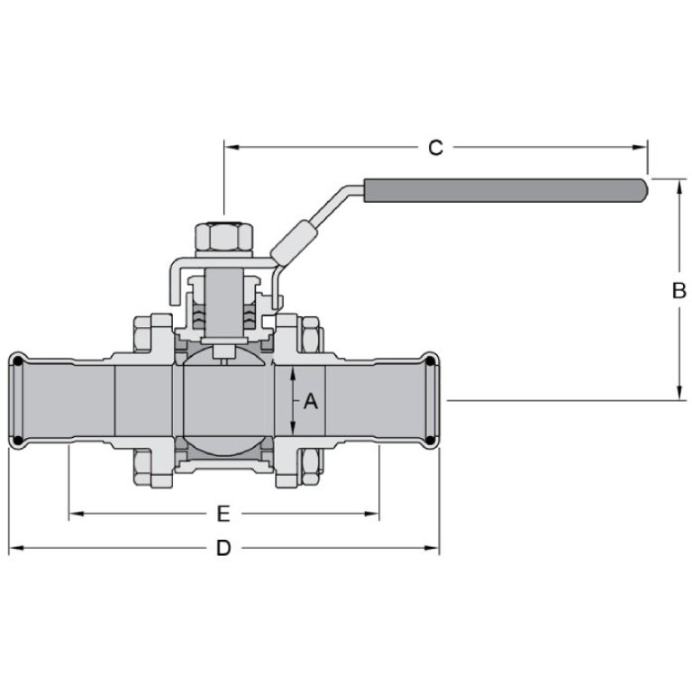 t-ITF31