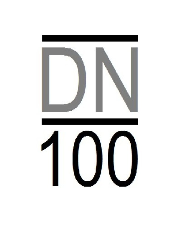 DN100