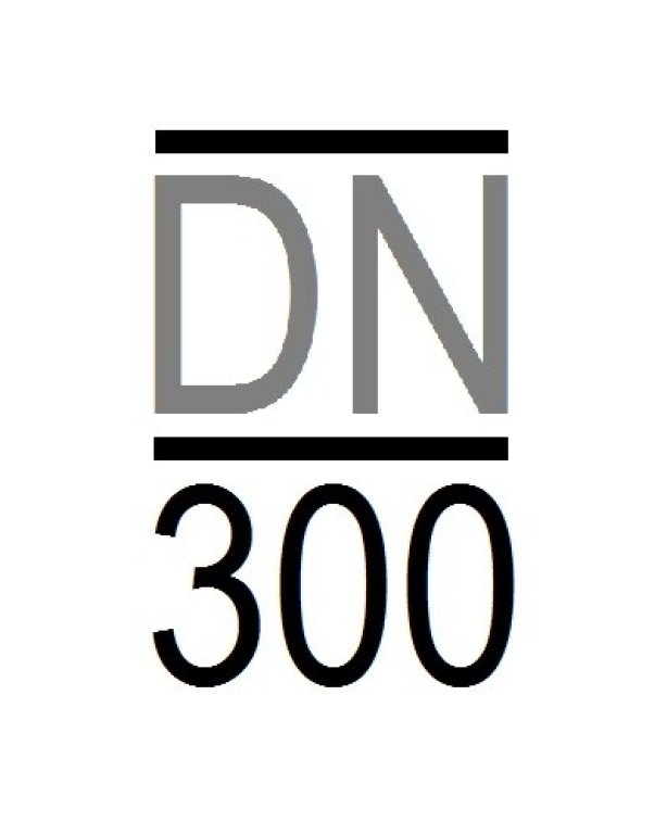 DN300